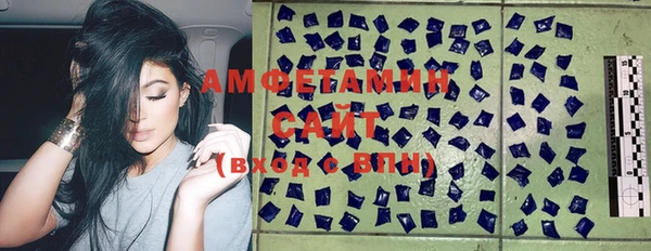 Альфа ПВП Аркадак