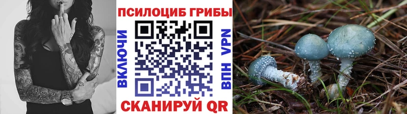 Псилоцибиновые грибы Psilocybine cubensis купить наркотик Россошь